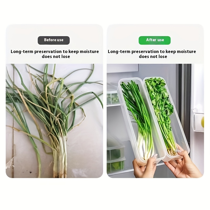2/6pcs Long PP Plastic Vegetable Storage Containers - Durable Airtight Kitchen Organizer for Cilantro, Green Onions, Mint & More - Refrigerator Replacement Bins, Appliance-Friendly Food Savers