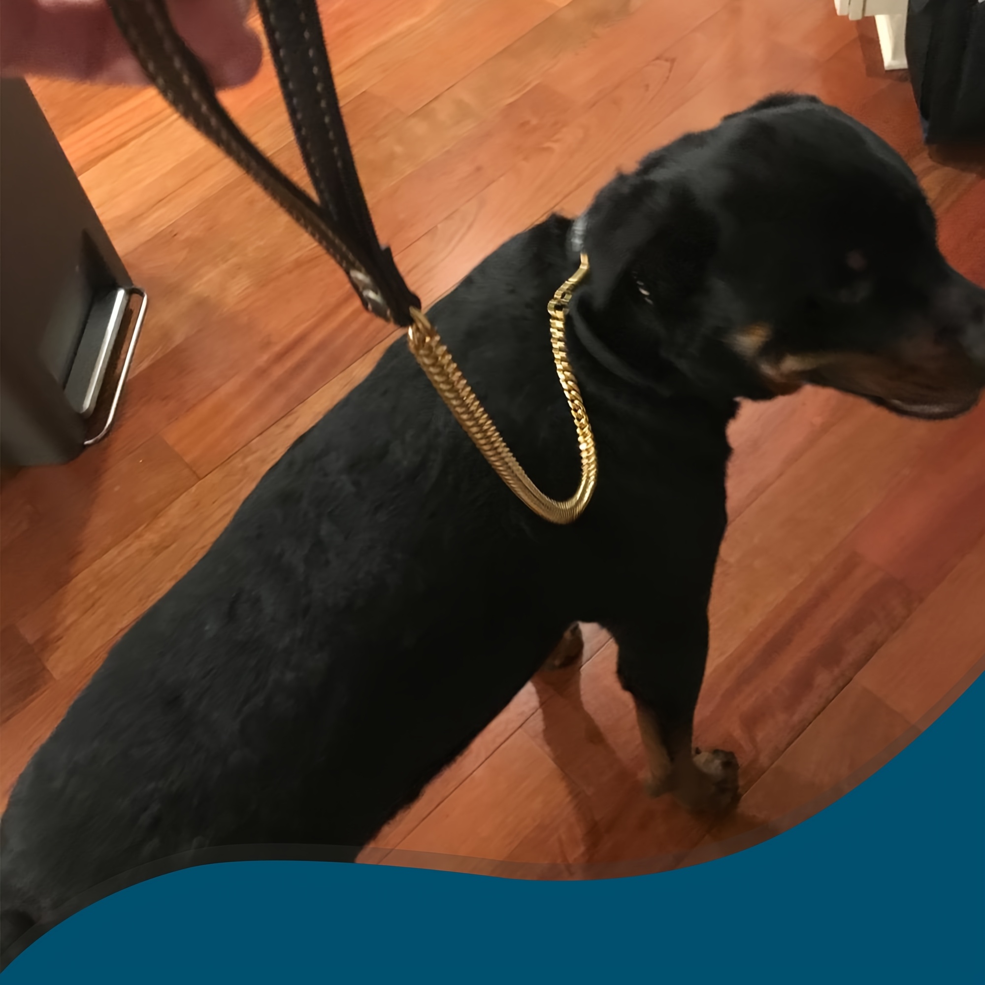 Golden 12mm Dog Chain Leash with Handle