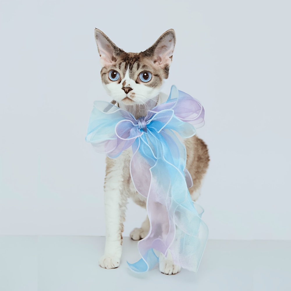 Ombre Pearlescent Double-Layer Bow Pet Collar for Small Dogs