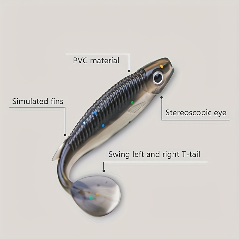 Kit d'appâts pour la pêche en eau douce et salée, ensemble d
