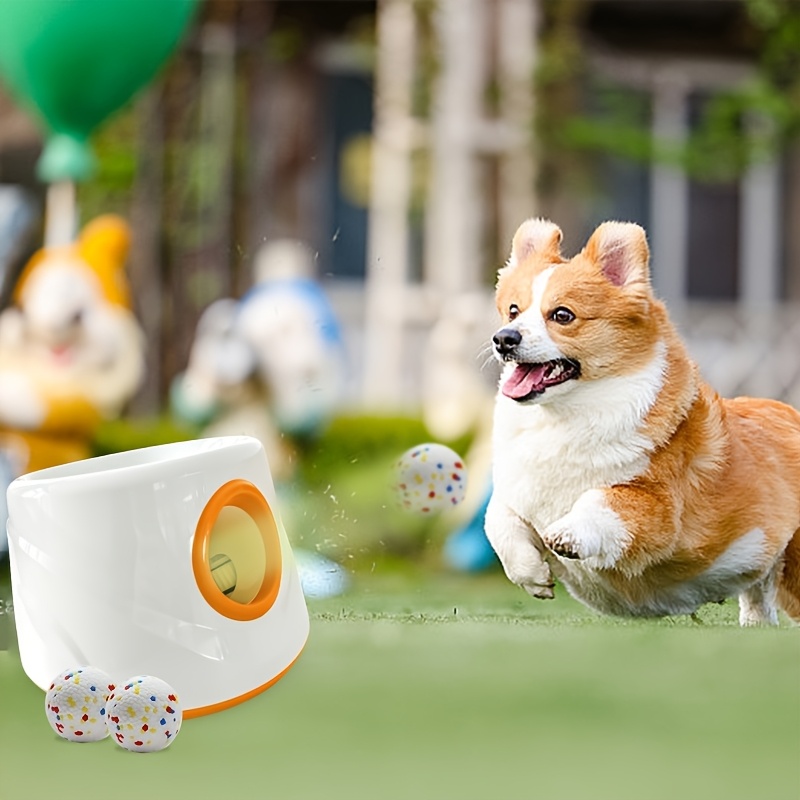 best ball launcher for dogs