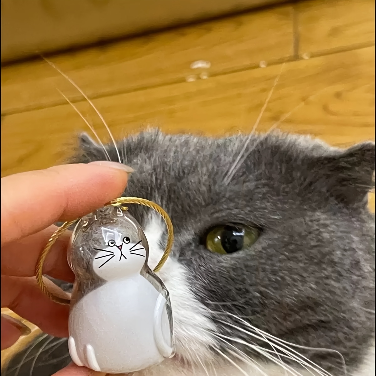 2/3/5pcs transparent cat hair storage box, hair keepsake box