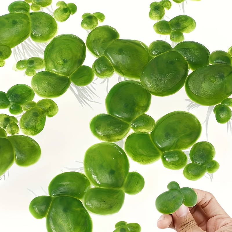 Image of 18pcs Of Simulated Aquatic Plants, Plastic Fish Tanks And Pond Decorations, With Textured Leaves, Easy To , Realistic And Durable , Enhancing The Beauty Of The Fish Habitat Environment
