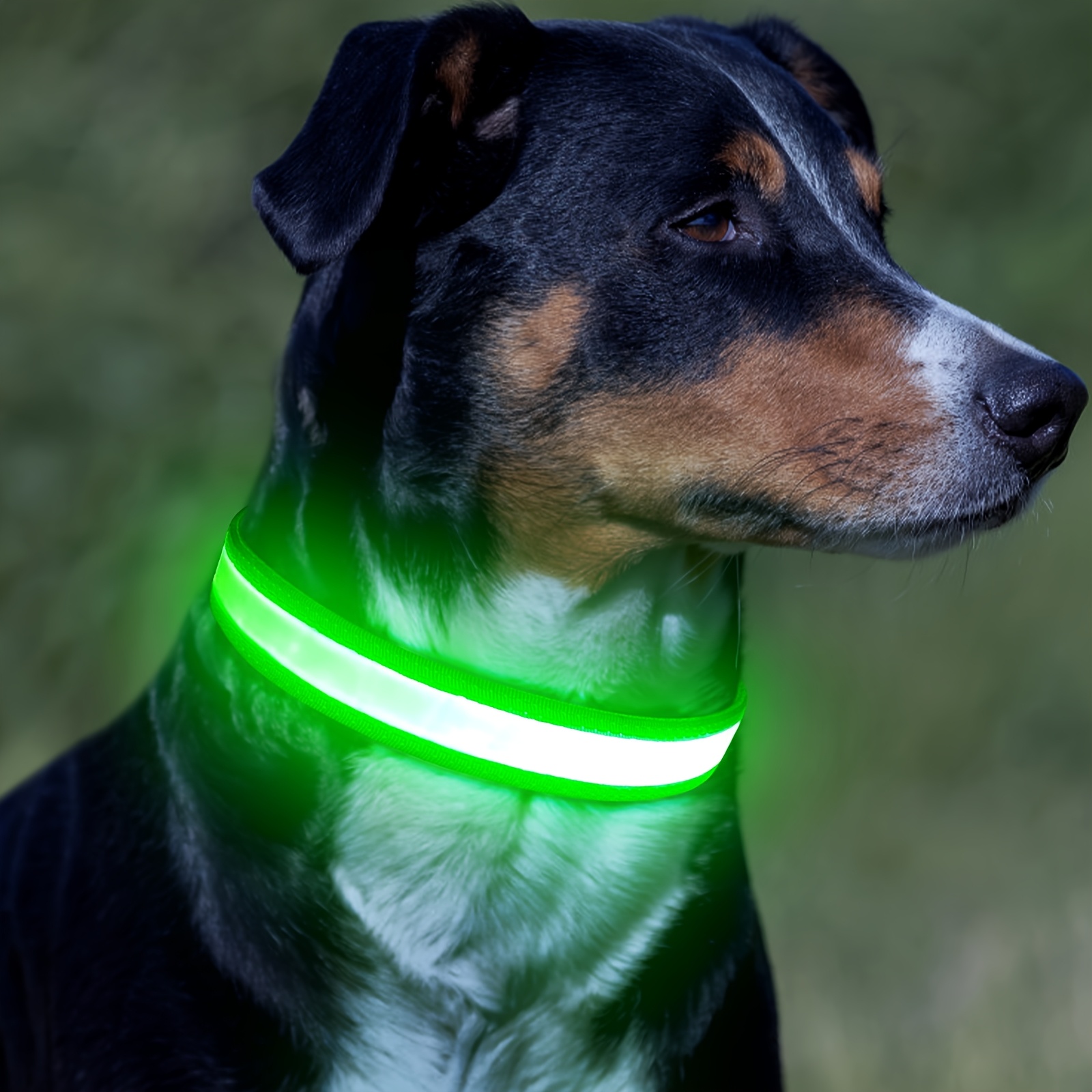 TEMU New Tpu Led Dog Collar, Usb Rechargeable Light Up Dog Collar Lights, Adjustable Comfortable Soft Tpu Safety Dog Collar For Small, Medium, Large