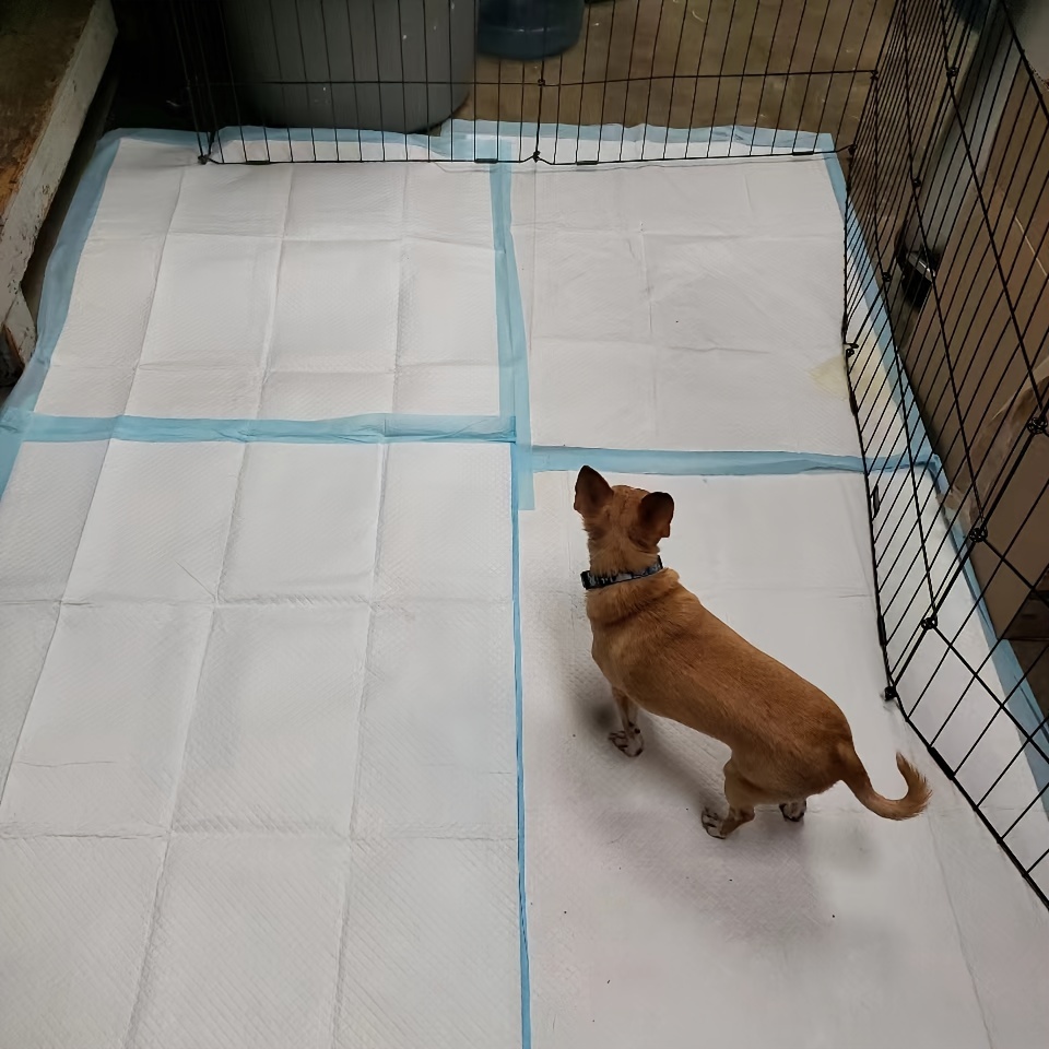 Extra Large Dog Pee Pads Super Absorbent Leak proo Dog Bed - Temu