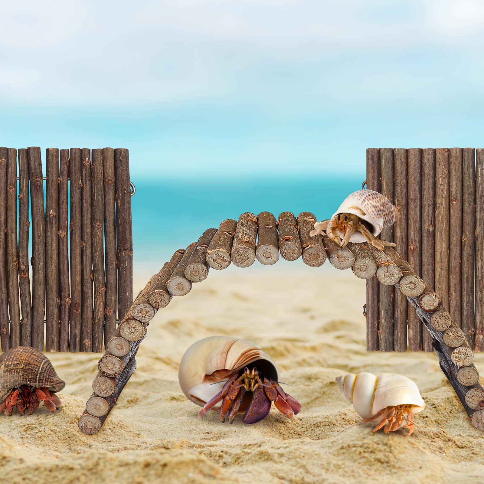 2pcs Reptile Hideout Hermit Crab Bendable Bridge