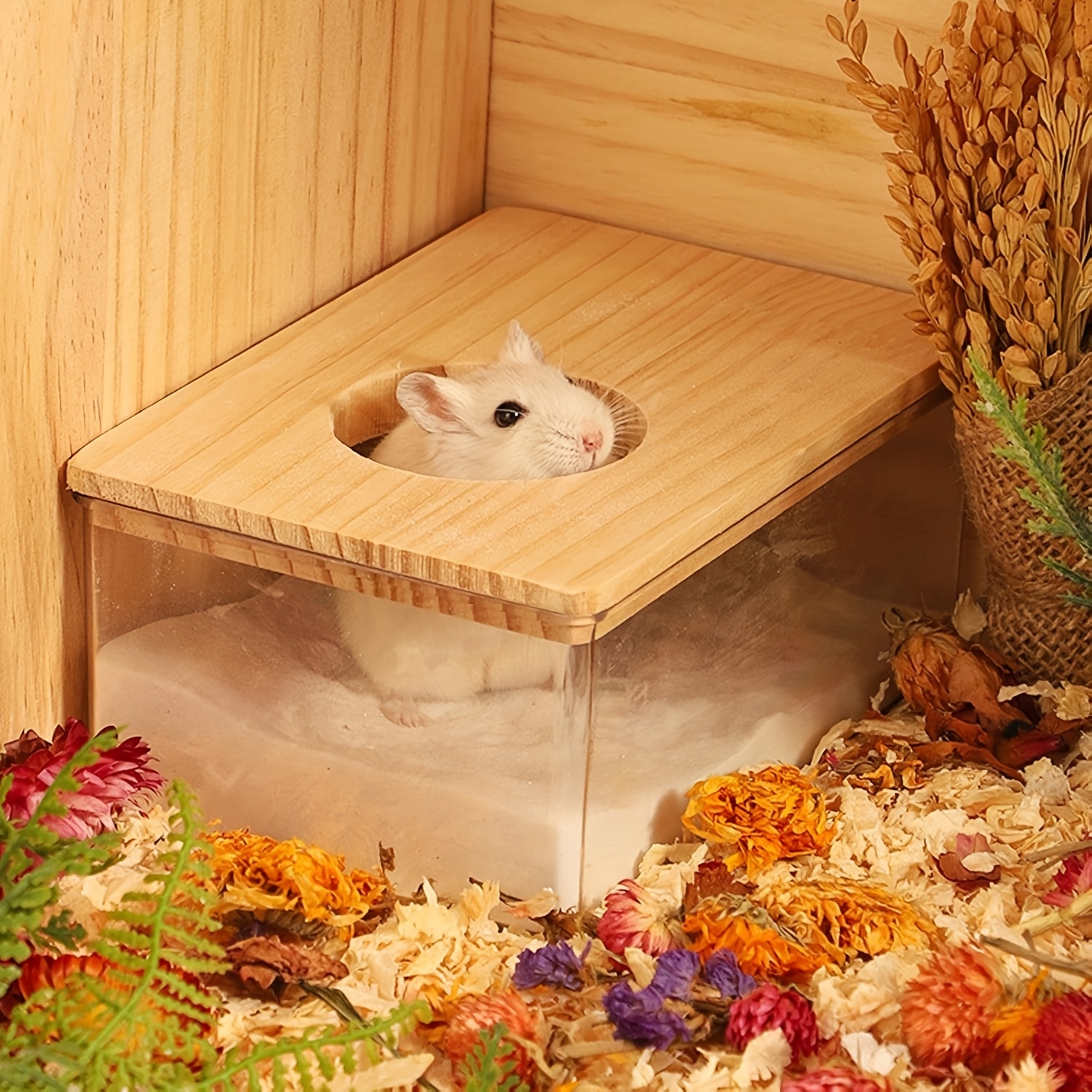 

1pc Hamster Sand Bath Container With Wooden Cover - Transparent Acrylic () Small Animal Bathroom, Bathtub For ,