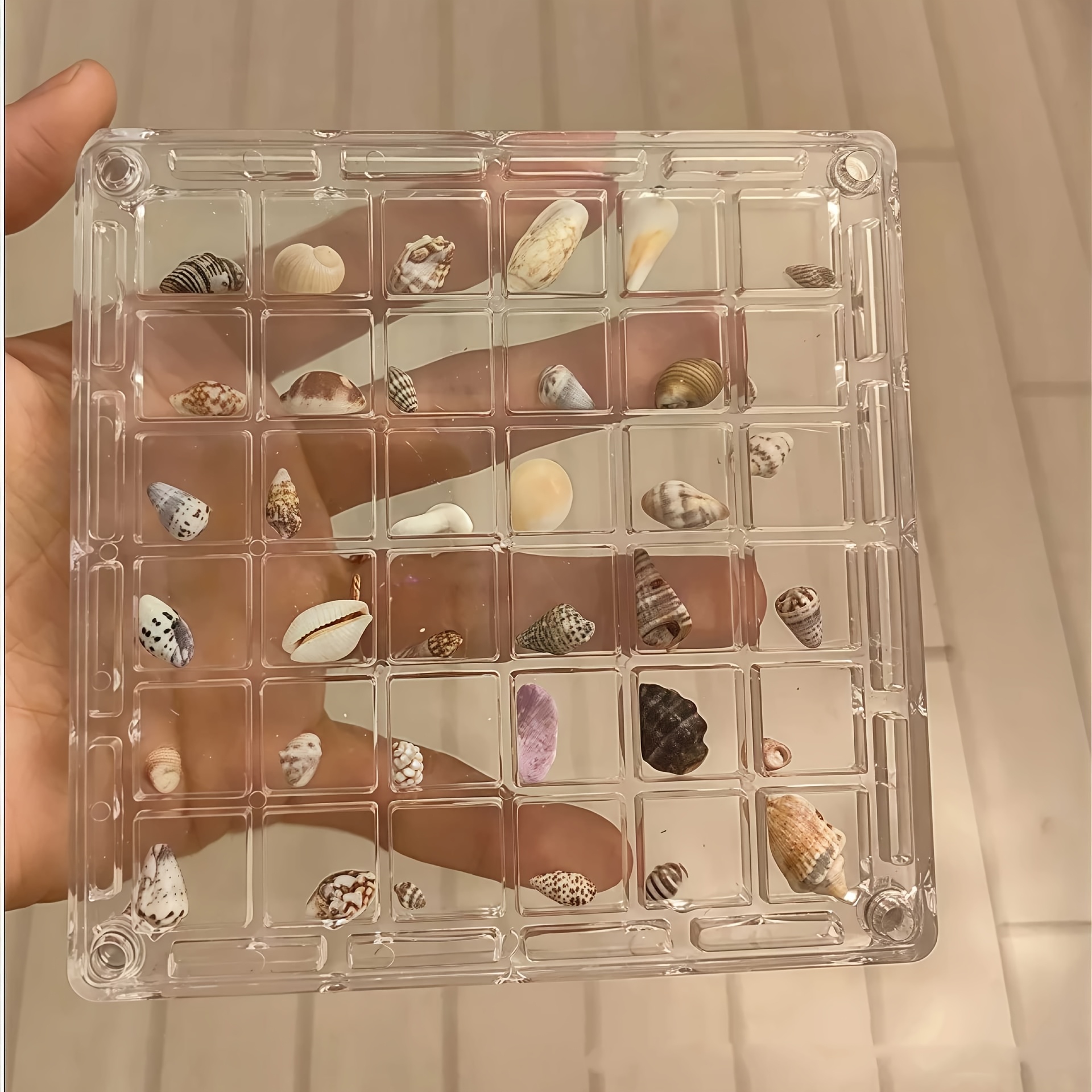 1pc Square Acrylic Shell Storage Box, Transparent Specimen Display With 36 Mini Shell Compartments, Magnetic Lid, High , Suitable For Daily Collection
