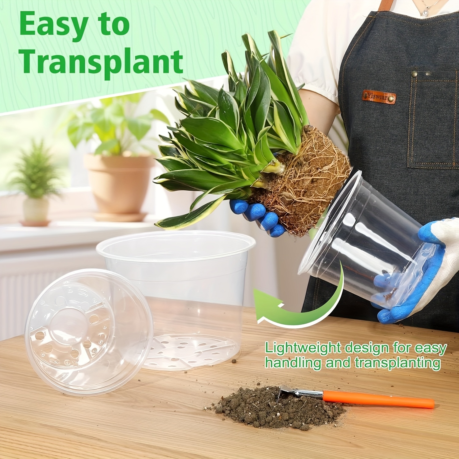 hanging tomato plant kit Upsy Downsy Hanging Salsa Garden by Triumph Plant  EnrootProducts