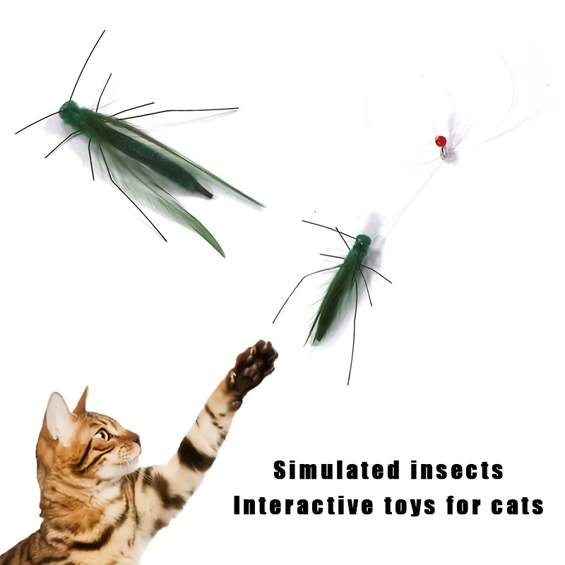 

1pc Interactive Cat Toy Replacement Heads, Realistic Insect Shaped With , Non-electric Self-entertaining Pet Supplies, Plastic Material, Without Battery