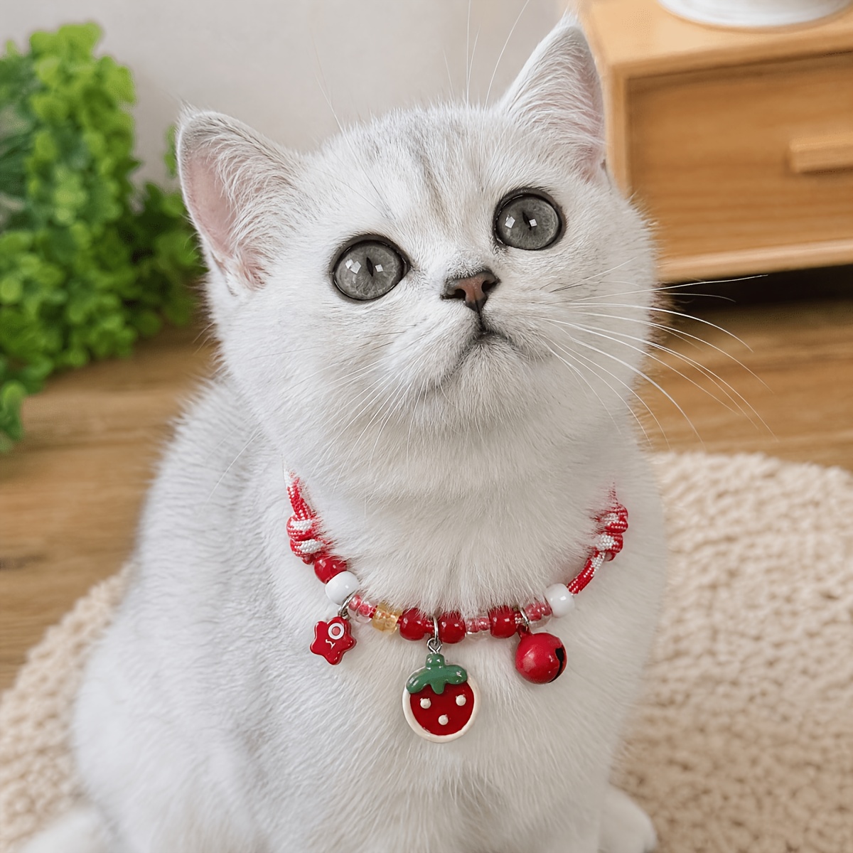 TEMU 1pc Kitten Bell Collar, -block Fruit Pendant Pet Necklace, Adjustable Anti-escape Neckband For Cats And Dogs, New Durable Plastic Bead Collar