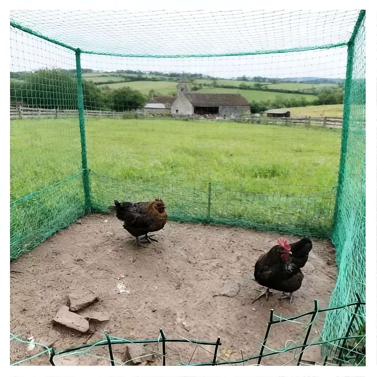 TEMU Heavy-duty Polypropylene Poultry Netting Suitable For Farms & Backyards - Predator-proof Chicken Coop Wire Fence With Open Mesh Barrier, Wire