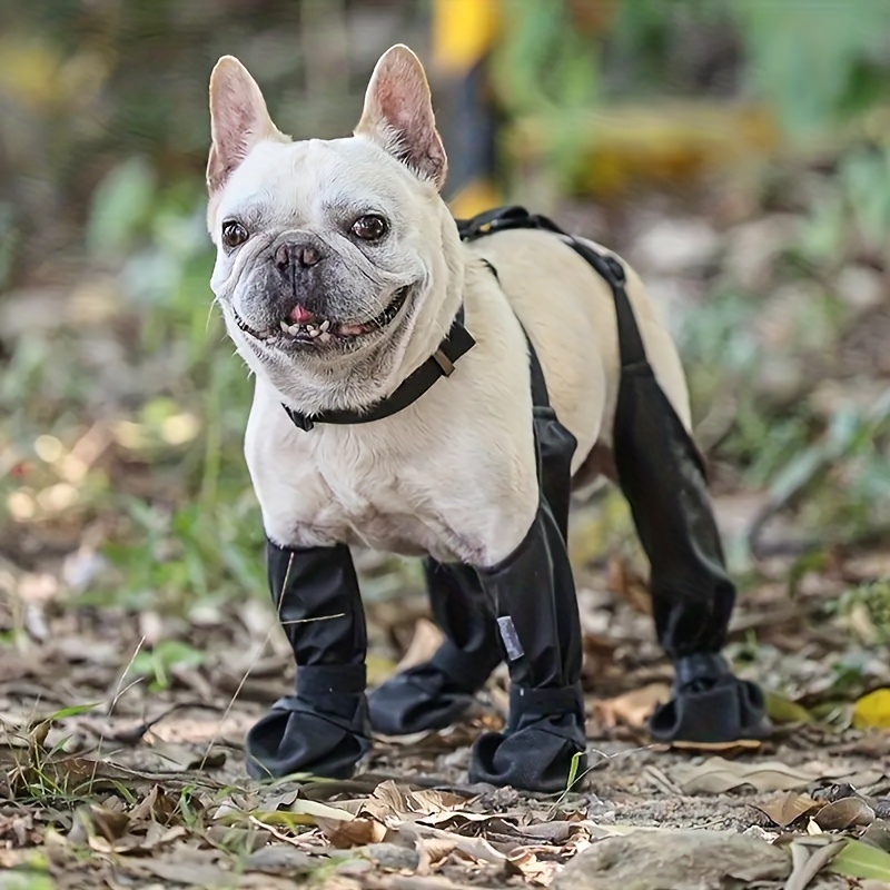 

Comfortable And Breathable Dog Shoes For All Seasons, Perfect For Going Out To Prevent Dirt And Water For Your Pet Dog