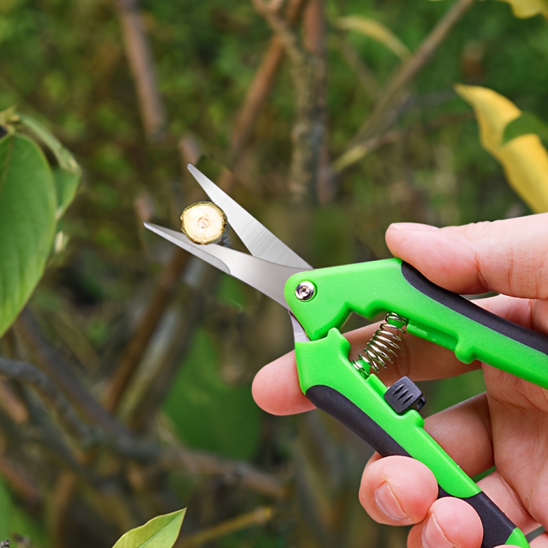 Image of Grape Shears, Pruning Shears For Fruit Trees, Fruit-picking Shears, Garden And Floral Pruning Shears, Special Shears For Flower Arrangement.