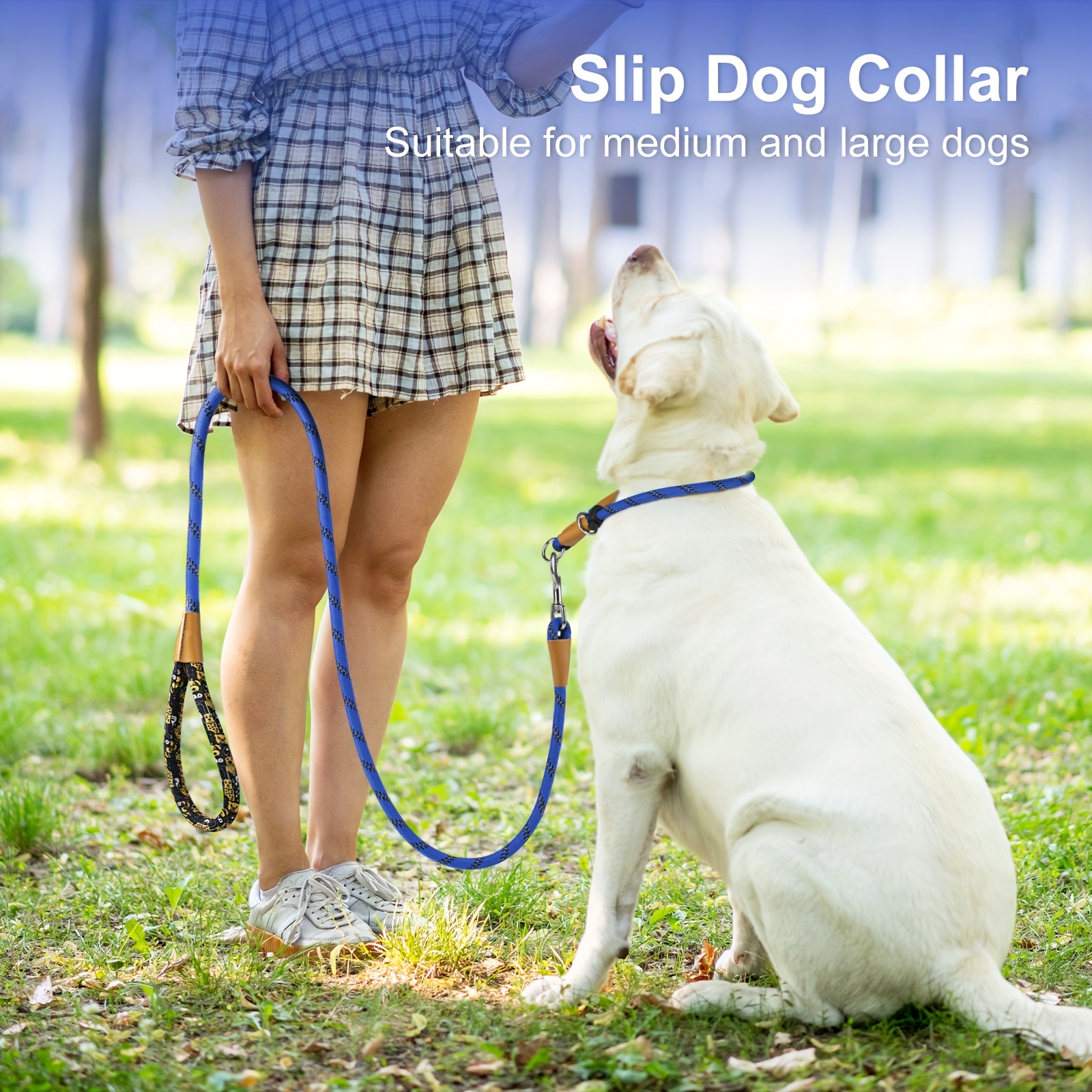 Reflective Striped Nylon Dog Collar with Adjustable Buckle