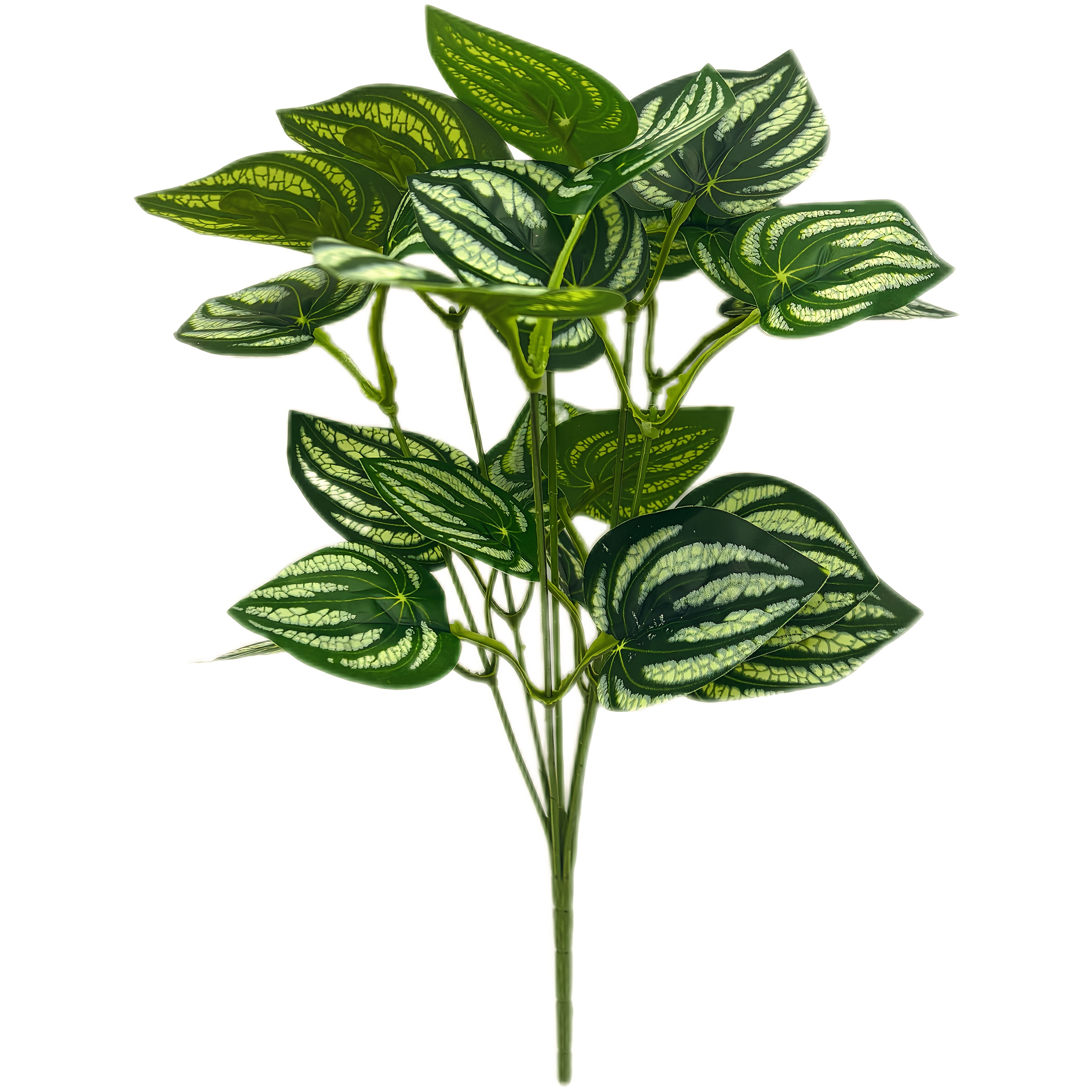 46336fce 9688 4271 B2f4 32ca8fd8e137 46336fce 9688 4271 B2f4 32ca8fd8e137