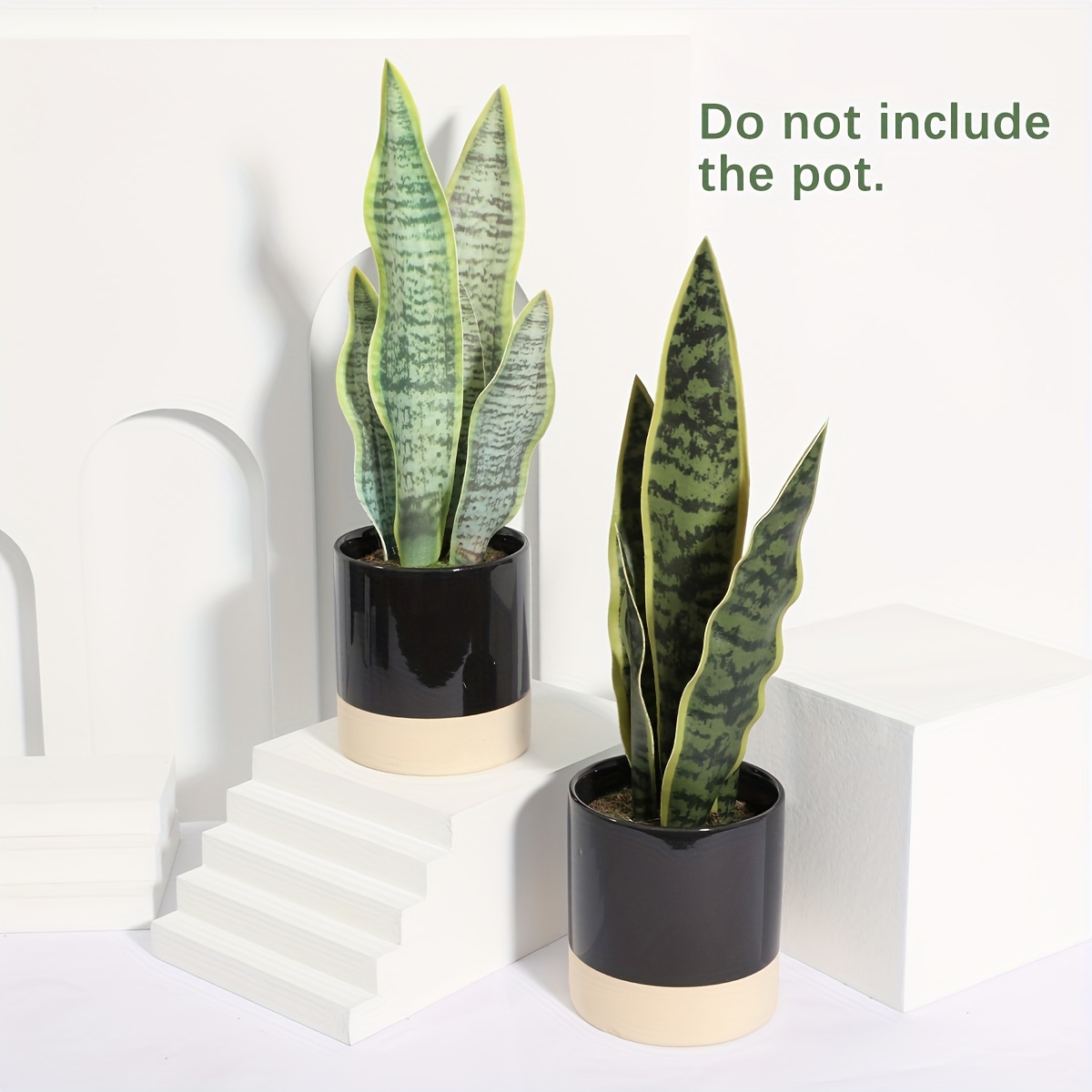 Plantas Decorativas Para El Hogar - Temu