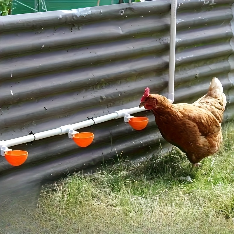 

16-pack Automatic Poultry Drinking Cups With Leak-proof T-connectors - Coop Accessories For Chickens, Ducks, Geese, Turkeys | Plastic, Non-electric & Battery-free