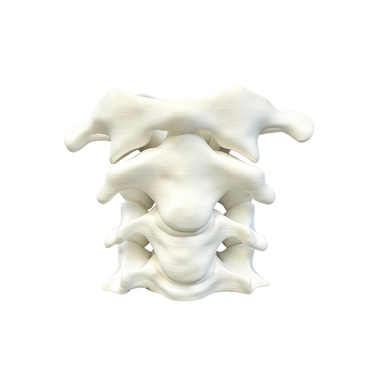 TEMU 1pc Unique Spine Pen Holder As Art Decor. It Stores Pens, Makeup Brushes, And Displays Flowers, Artistic Charm To Your Room