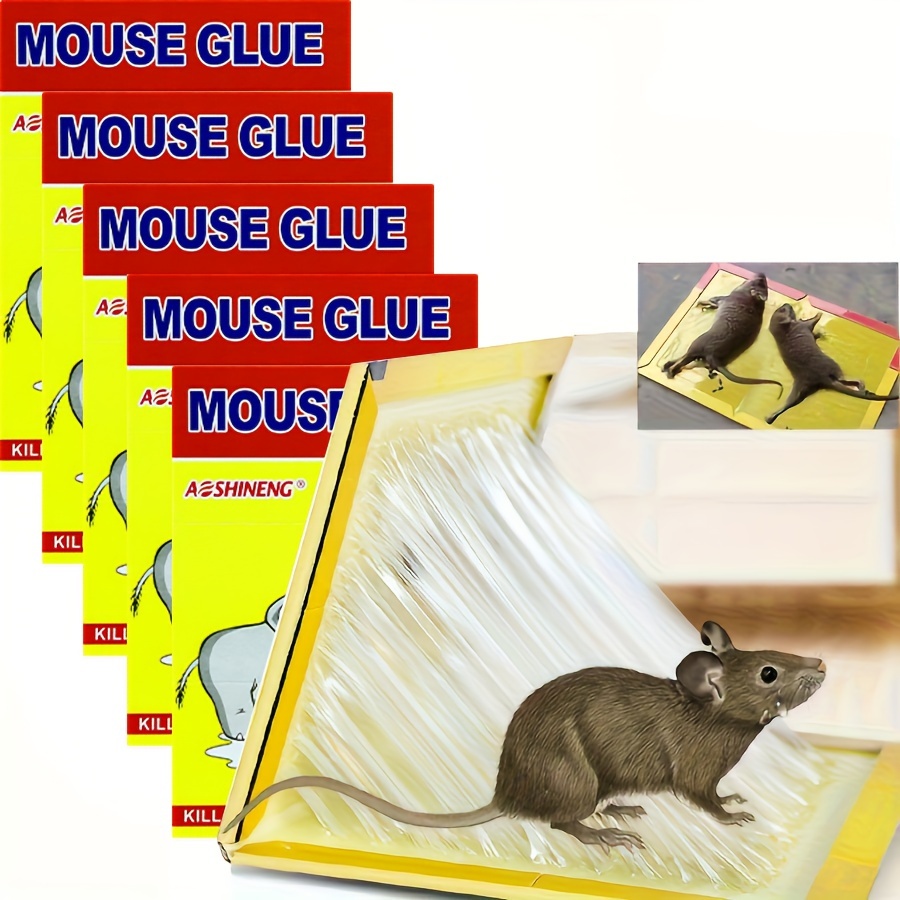 Rat Snake Glue Traps Safe Non toxic Bait Sticky Traps - Temu Canada