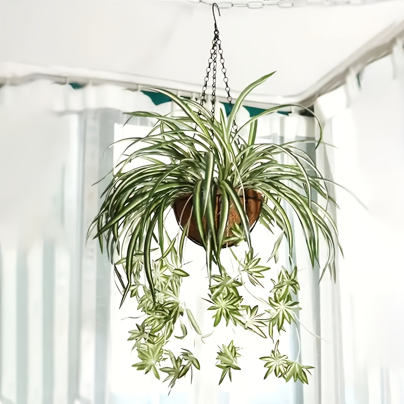 1 3pcs simulated spider plant home decoration simulated - Temu