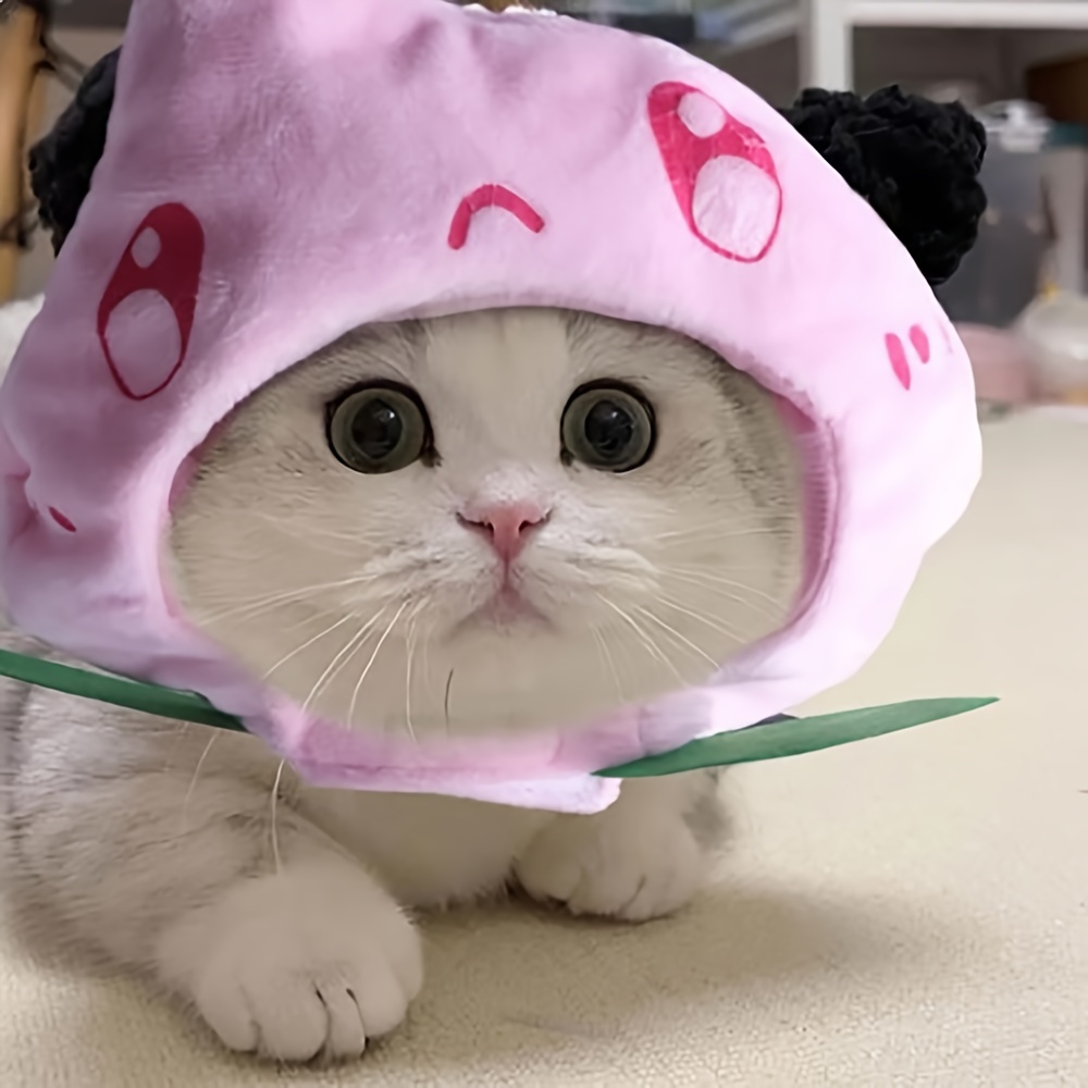 Aesthetic Cat Bunny Hat Cat Wearing Bunny Hat 2025