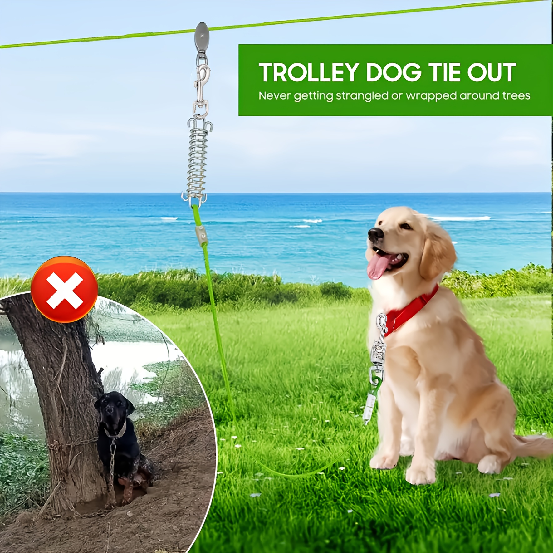High-Quality Dog Leash with Shock-Absorbing Spring