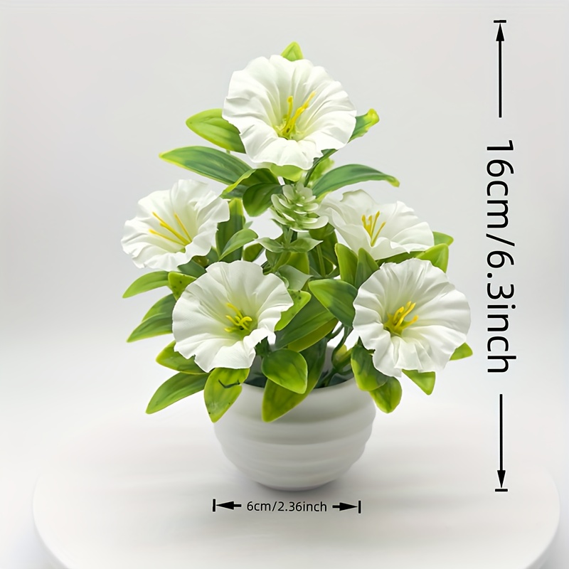 1/6 Set Morning Glory bloemen met pot