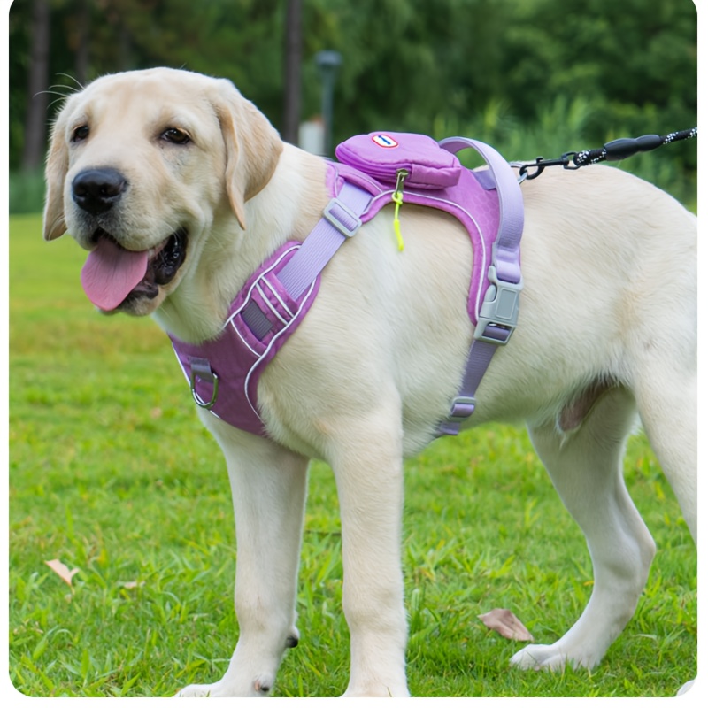 TEMU 【脱走防止】大型犬用ウォーキングチェストハーネス、小型ハンドバッグ付き、小物持ち運び可能、電池不要