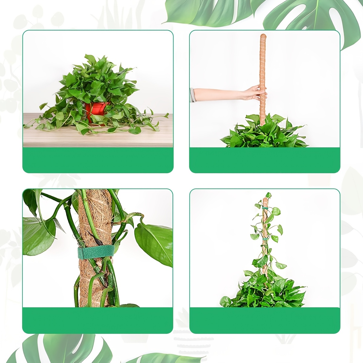 1pc FlexiPlant Metal Moss Pole for Monstera and Climbing Plants, Indoor Plant Support Stake Frame with Extension