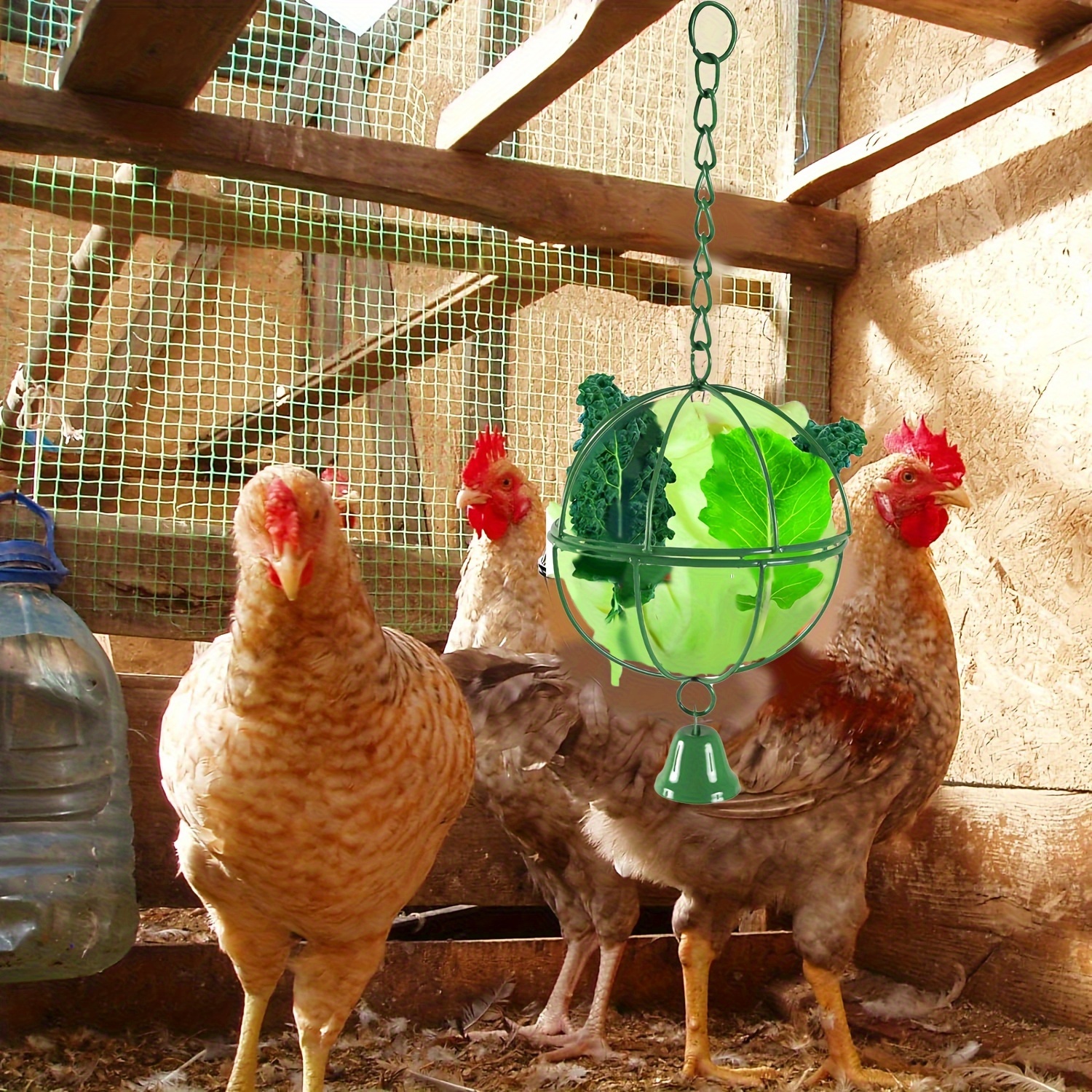 Poultry Feeder Hook Chicken Cage Toy Fruit Vegetable Feeding - Temu  Australia
