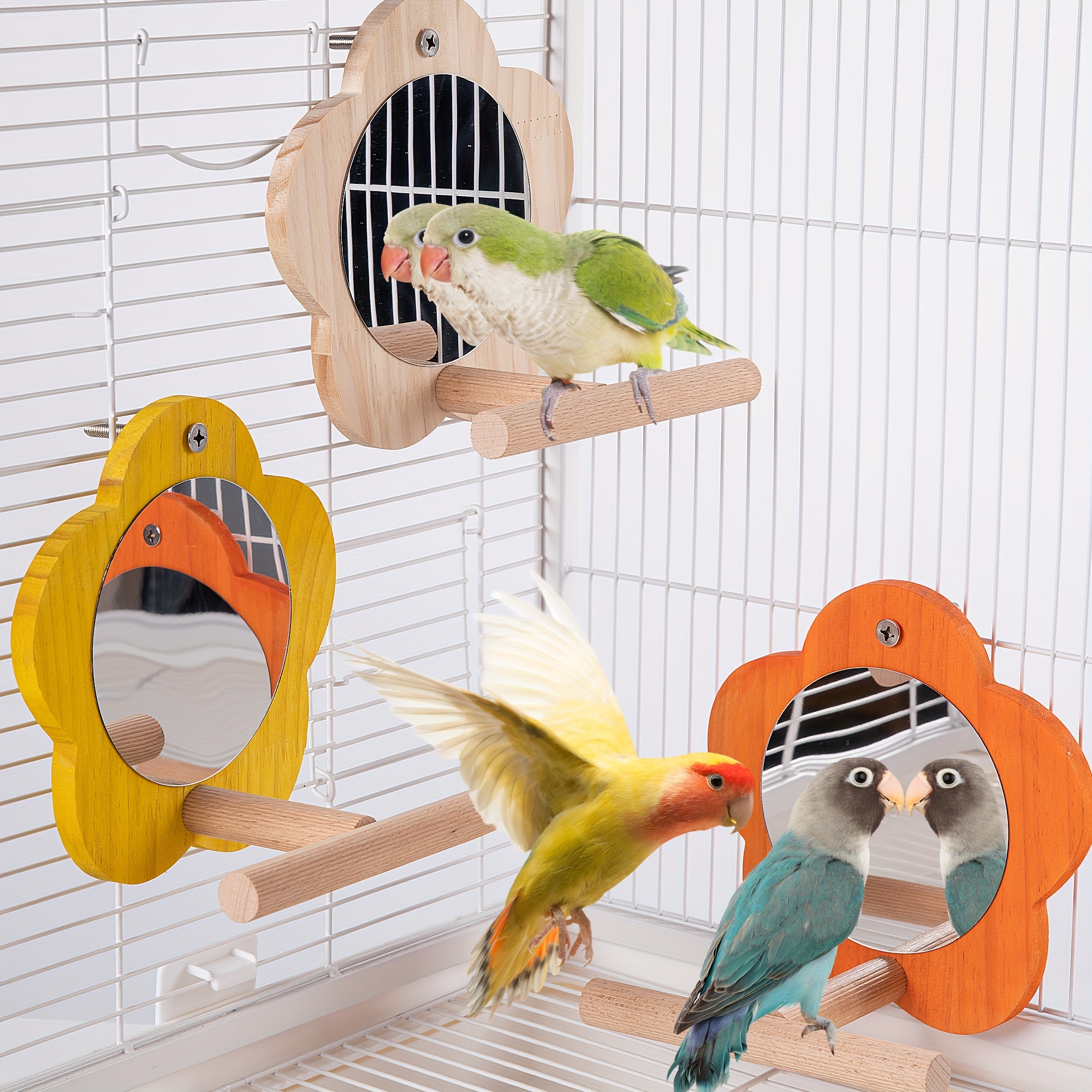 Parakeet cage accessories best sale