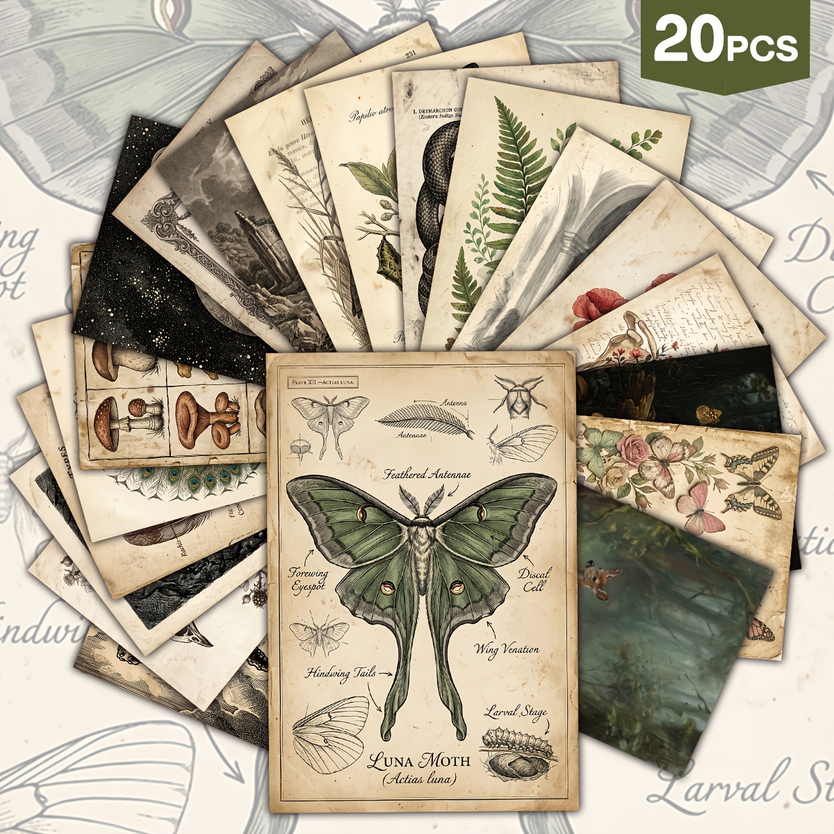 TEMU 20 Stück Vintage Naturwissenschaft Postkarten, 4X6 Zoll Klassische und Zoologische Exemplar Themen Dekorative Karten, mit Astronomie, und