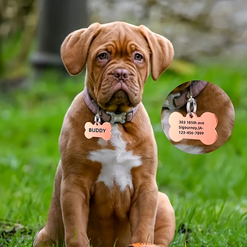 Stainless Steel Dog Tag Pet Pendant with Mirror Engraving