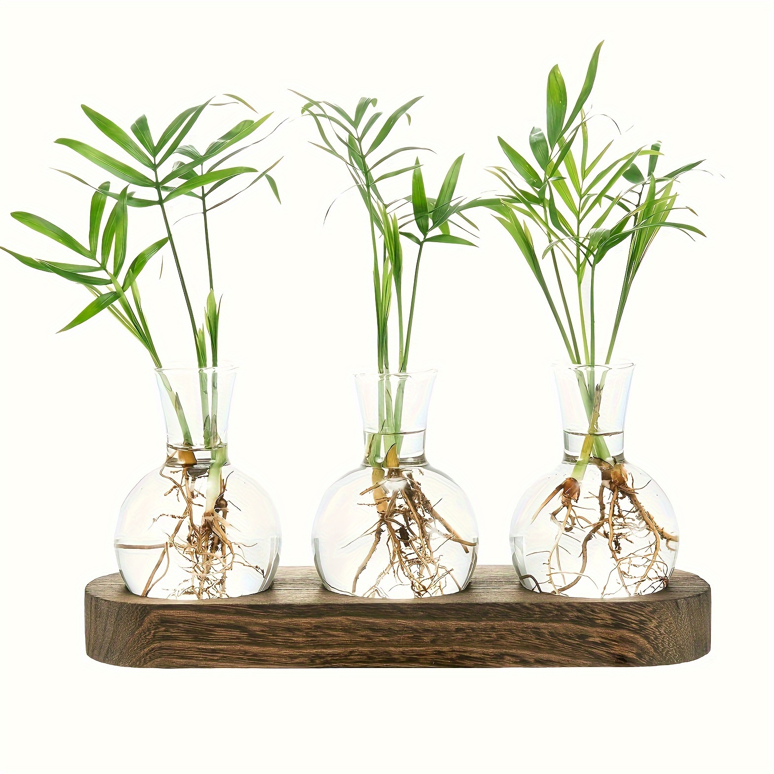 TEMU 3/5 Bulbs Set Plant Propagation Station, Plant Terrarium With Wooden Tray, Tabletop Bulb Glass Vase Planter For Home Office Decor