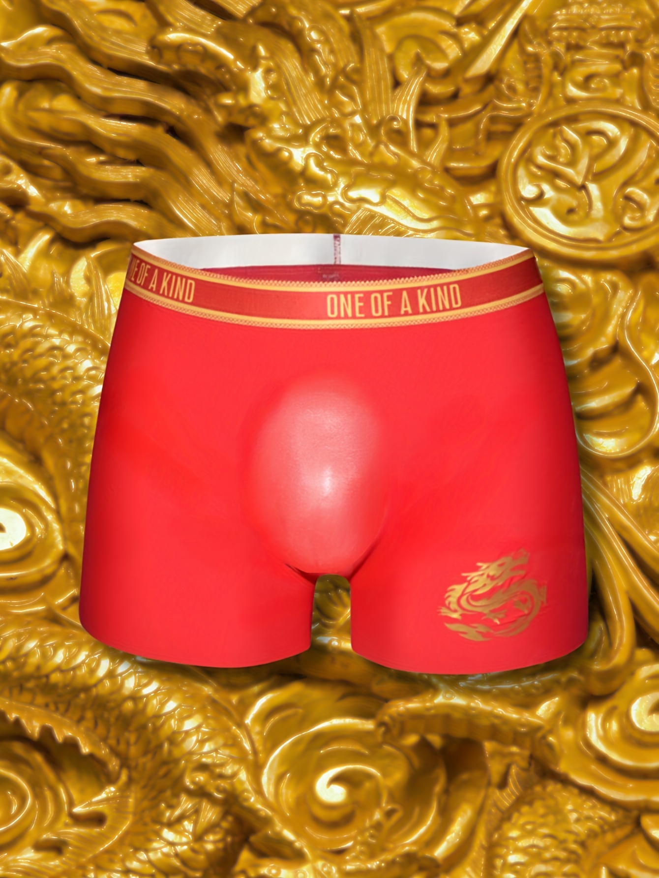Mens Underwear Silky Boxer Briefs Floral Printed U Pouch Panties Comfort  Undies