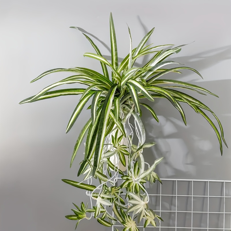 Image of Fashionable Artificial White- Plant - Perfect For Outdoor Gardens And Home Decor, Suitable For , Outdoor Artificial Flowers Do Not Power