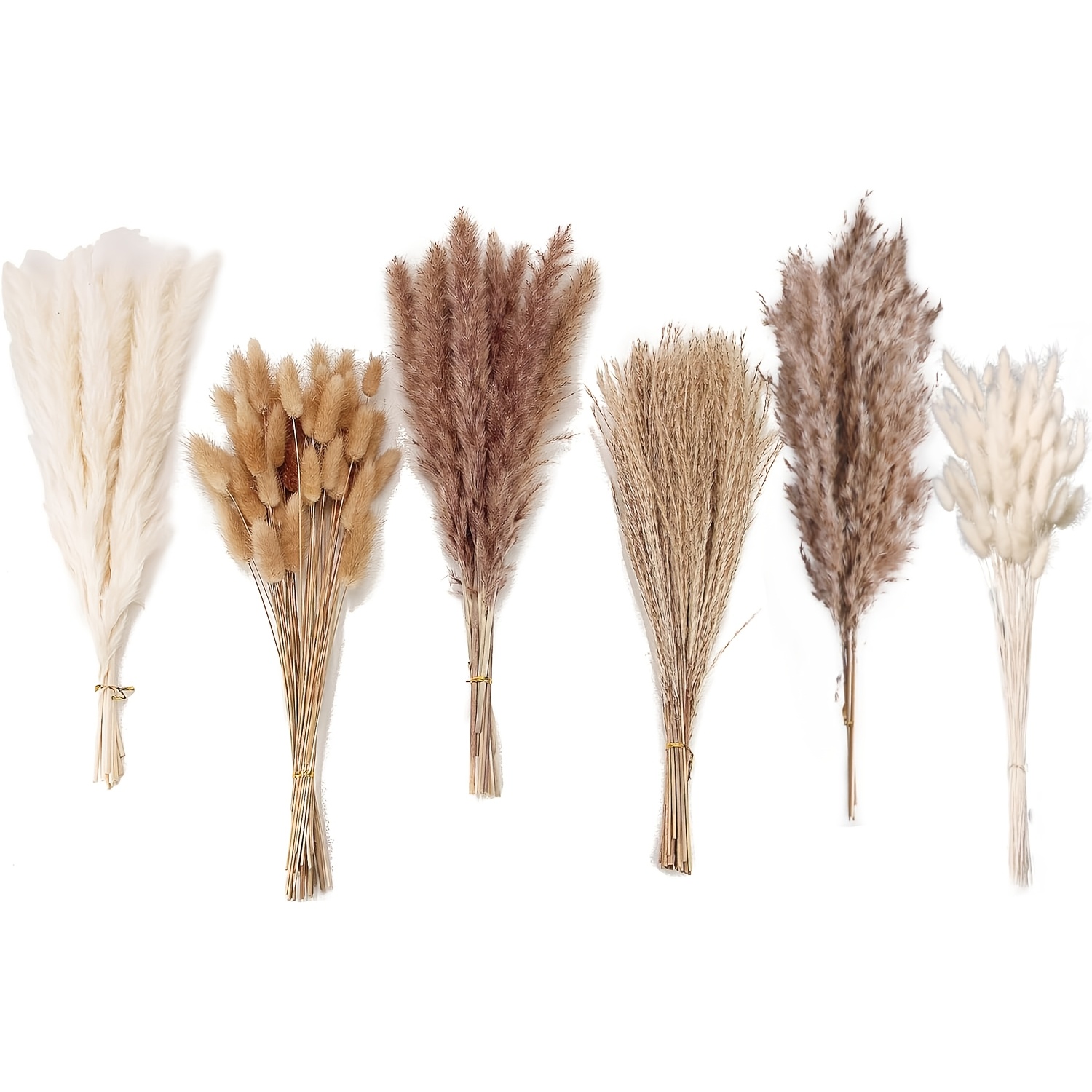 Image of 220pcs Dried Flower Bouquet - Pampas Grass, Floral Decor For Home, Wedding, And Boho Style | Perfect For Vases, Fall, Spring, Summer, And Winter Arrangements