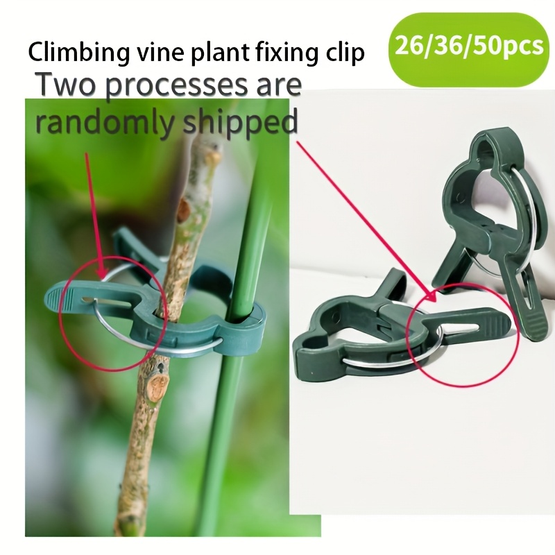 

Green 26/36/50pcs Plastic Plant Support Clips, Gentle Gardening Vine & Flower Loop Gripper, Stem Straightening Tool For Garden Clips