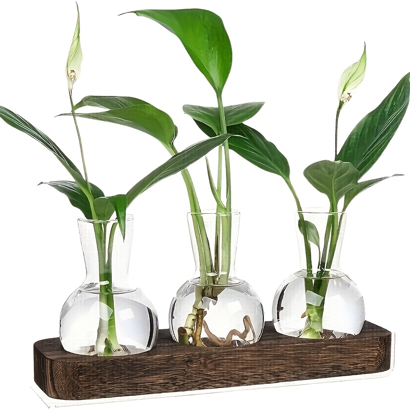 E-shop 4-teiliges Set Pflanzenvermehrung Holzschalen, mit 3 Glasvasen, Knospenbehalter, für Hydroponikpflanzen, Garten, Zuhause, Schlafzimmer,