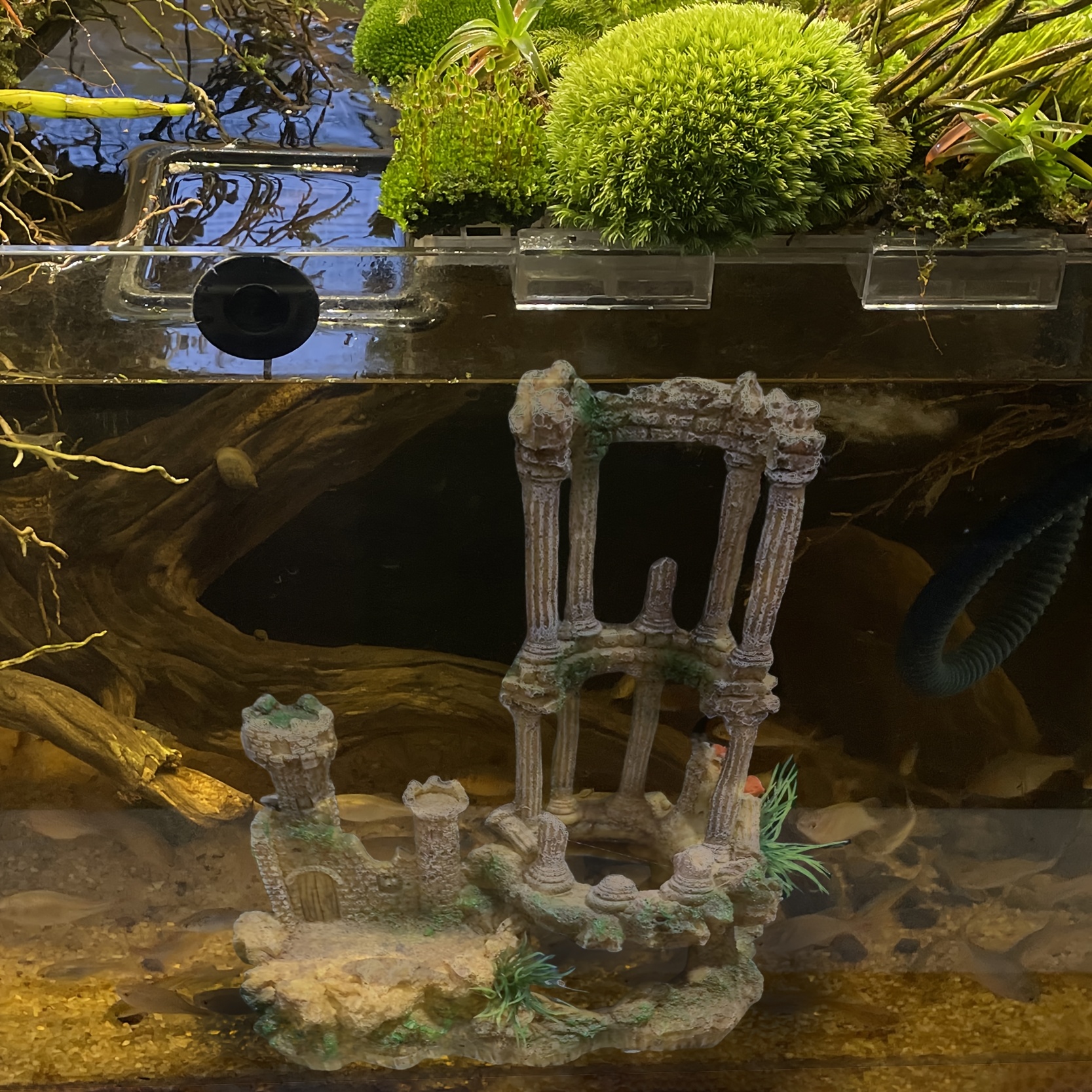 OMEM Aquarium Ornament Hars Grot Aquarium Decoratie Vissen Verbergen, Reptielen Hideout Huis Hamster, Hagedis, Gekko, Snake Habitat Habitat Hides