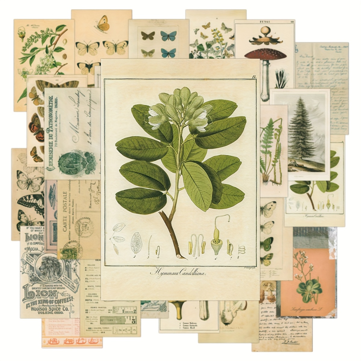 2D Flat, 30pcs Vintage Wall Collage Kit Aesthetic Pictures, Posters for Room Aesthetic Vintage, Bedroom Aesthetic, Cute Dorm Photo Collage for Teen Girls, Botanical Wall Art