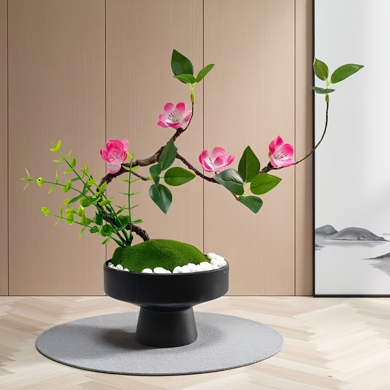 boswellia bonsai Boswellia frereana 10 Pieces Seeds main image 1