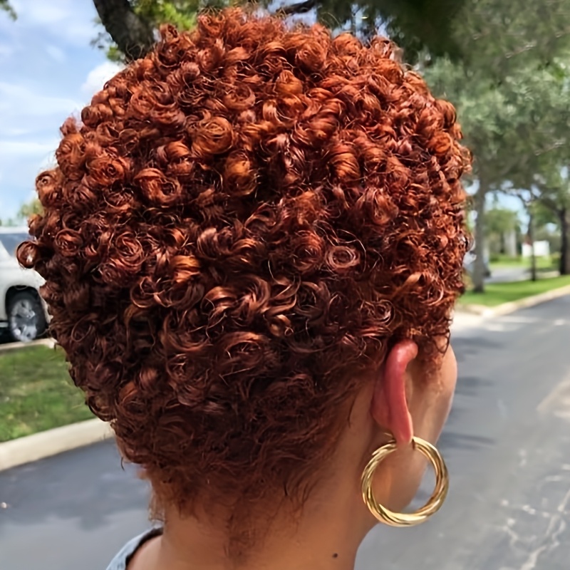 TEMU Afro Curly Hair Wig Short Afro Haircuts Short Afro Curly Synthetic Wigs For African American Wigs Curly Hairstyles For Halloween, Christmas And Music Festival Party