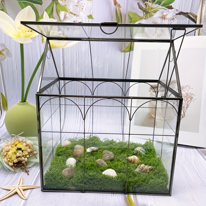 lucky bamboo inc Lucky Bamboo on a Panda Base Gift tangled plant