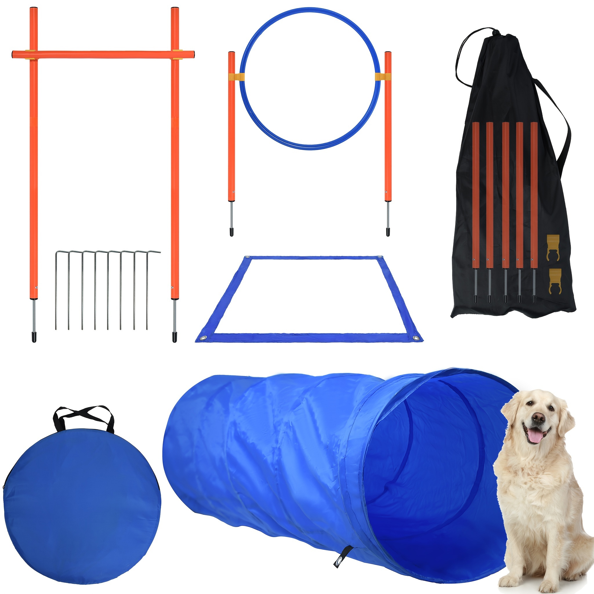 Dog agility accessories best sale