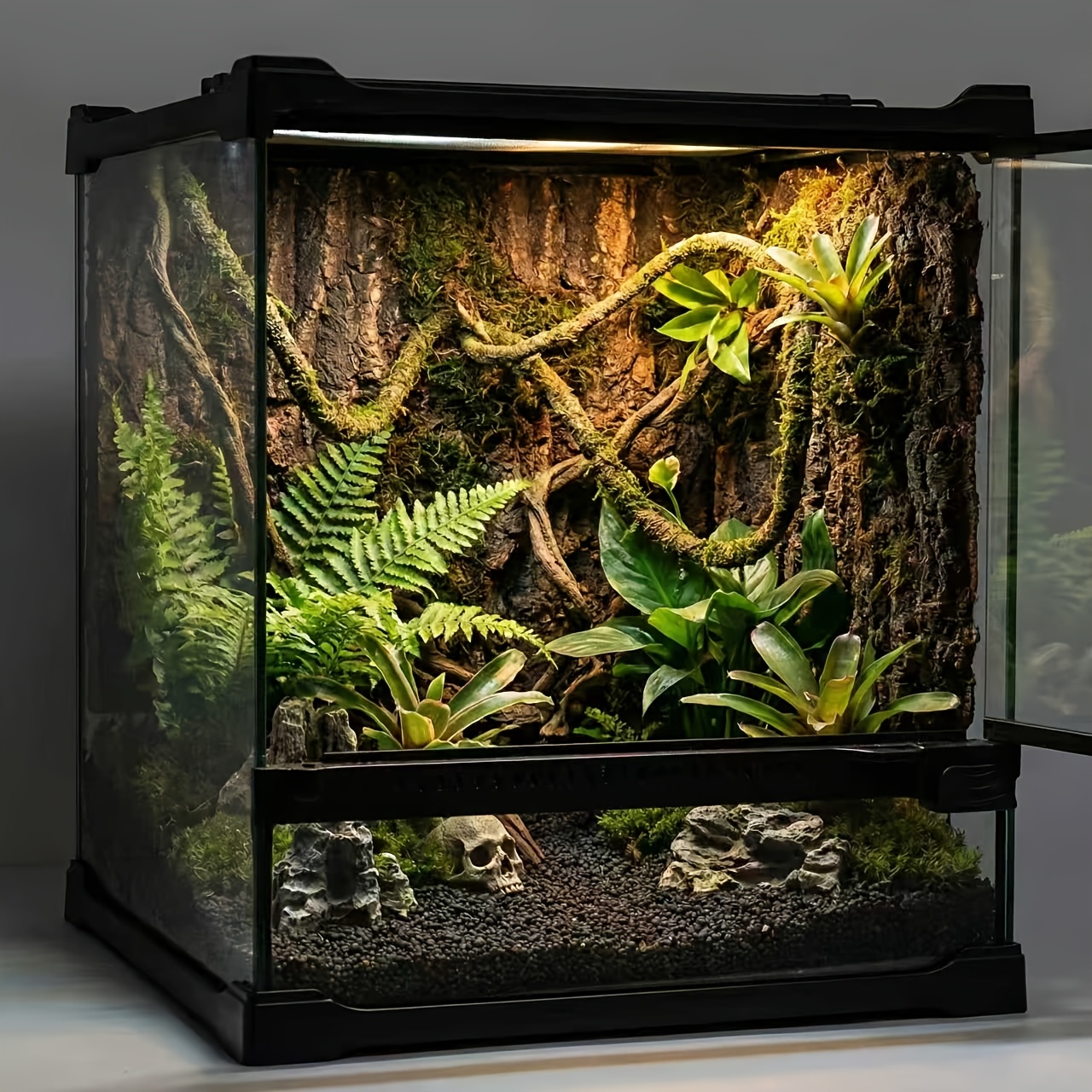 terrario de vidrio para reptiles con malla  ,   cuadrado para lagartos,  , geckos, serpientes,  , arañas, diseño de alimentación con   frontal,   de   tropical, 7.9*7.9*8.7 pulgadas