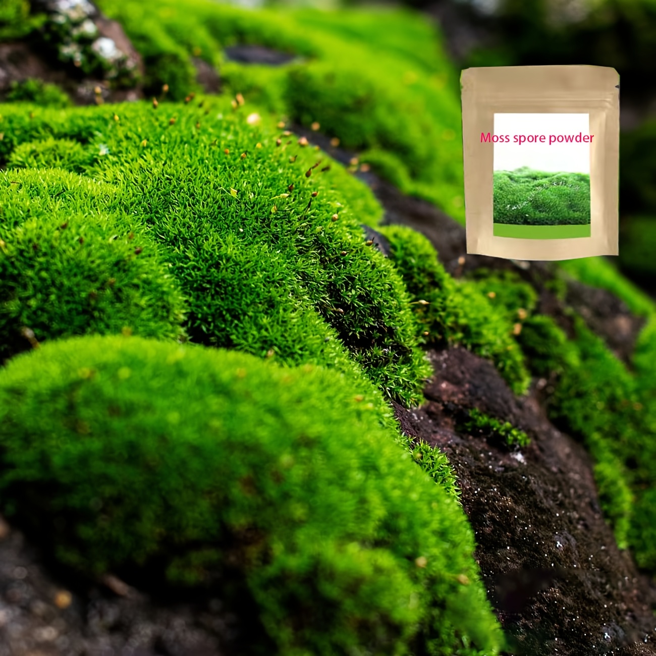 

Moss Powder, Micro Landscape Plant Dry Decoration, Moss Powder, Moss Carpet