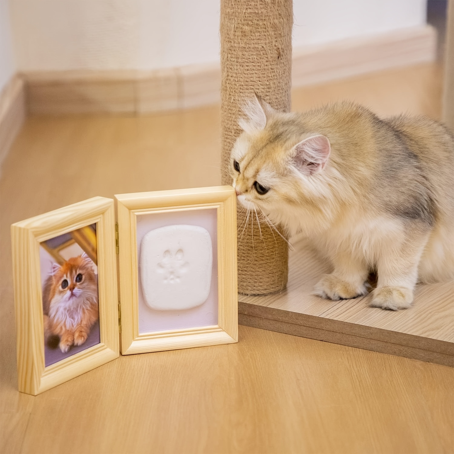 paw print kit print impression kit clay dog Temu New Zealand