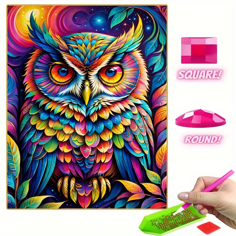 

Diamond Art Painting Colorful Owl Series 2024 All Diamond Mosaic 5d Diy Cross Embroidery Kit Diamond Art Home Decoration